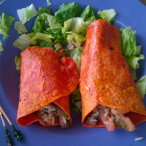 Nabízíme výraznou slevu 40% na skladové kvalitní grily více zde: